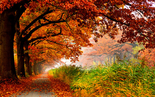 677651 (a): :1920x1200